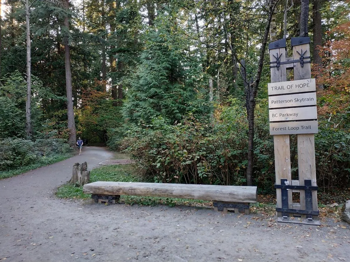 Private Suite W King Bed, Ground Level, Naturally Bright Vancouver